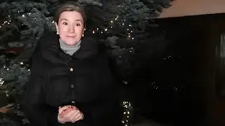 Екатерина Шульман: новогоднее обращение 2020 года