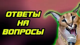 Двойной Удар Отвечает на вопросы подписчиков.