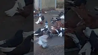 24 декабря 2023 г.
