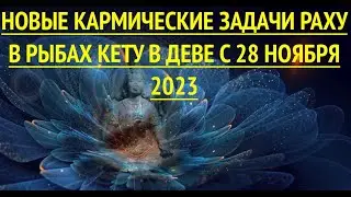 НОВЫЕ КАРМИЧЕСКИЕ ЗАДАЧИ РАХУ В РЫБАХ КЕТУ В ДЕВЕ С 28 НОЯБРЯ 2023