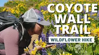 Wildflower Hike in the Columbia River Gorge | Coyote Wall Trail