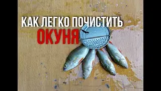 КАК ЛЕГКО ПОЧИСТИТЬ ОКУНЯ!