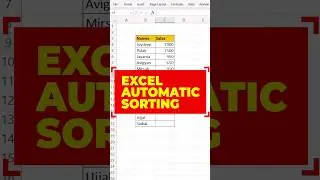 Don't Sort in Excel Manually!!! Instead use Automation Trick🎩 