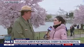 Thousands arrive in DC for National Cherry Blossom Festival | FOX 5 DC