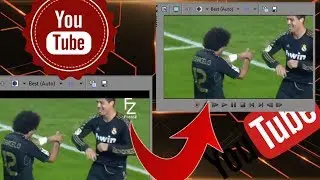 Sony Vegas How to hide logos or watermarks on videos
