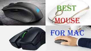 Best Mouse For Mac