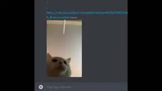 Cat Bounce Resizing Discord Meme