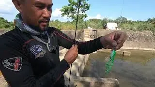 Fresh Water Dam Fishing