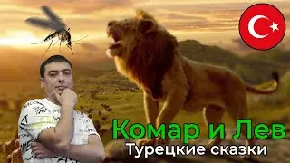 Турецкие сказки. Sivrisinek ve Aslan Masalı. Комар и Лев