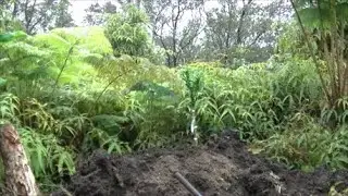 Volcano Prepper Compound Part 3