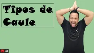 Tipos de Caule - Características e Exemplos - Morfologia Vegetal - Botânica