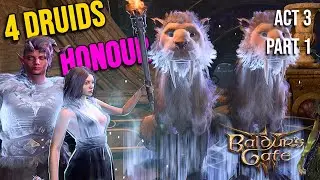 4 Druids VS Honour Mode ACT 3 Part 1 - BG3