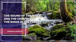 The sound of the river and the chirping of the birds in the forest, which ultimately clears the mind