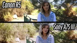 Canon R5 vs Sony A7S III Dynamic Range - IS R5 That Bad?