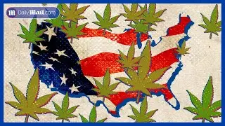 How America lost the war on Marijuana