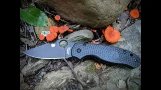Spyderco Para 3 Lightweight : A KnivesFAST Review