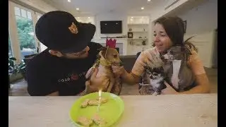 peach's 5th birthday