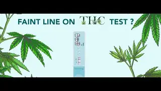 THC TEST FAINT LINE