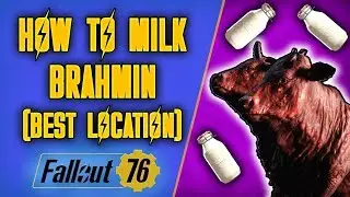 How To Milk Brahmin in Fallout 76