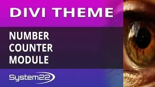 Divi Theme Number Counter Module