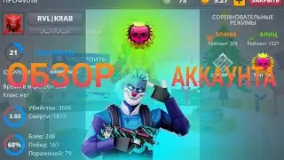 ОБЗОР АККАУНТА ТОП 100🤯 ЭТО ПРОСТО ПИПЕЦ... #polywar #веля #черноград