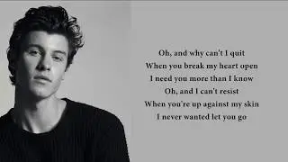 Shawn Mendes - Perfectly Wrong (lyrics)