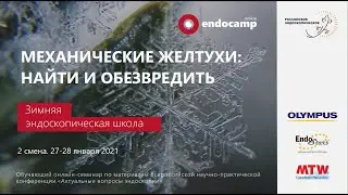 Зимний Endocamp 2020-2021.  Вторая смена 