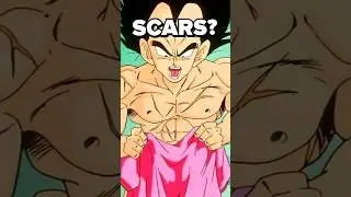 do you remember Vegeta’s SCARS?