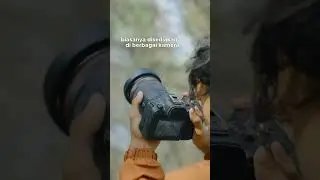 Seberapa Penting 