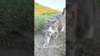 Принесет апрель, нам хрустальную капель 
