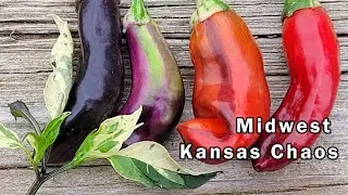 Taste Test And Review Of The Kansas Chaos Pepper Cross