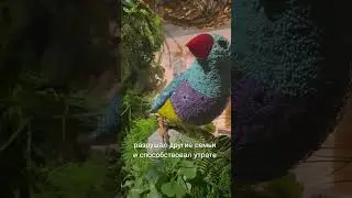 Карма рождённых 16 числа #карма #кармическаянумерология #саморазвитие #психология #рожденные16числа
