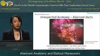 Aberrant Anatomy and Bailout Maneuvers