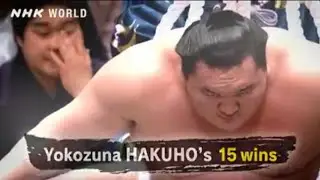 yokozuna HAKUHO's 15 wins || NHK WORLD