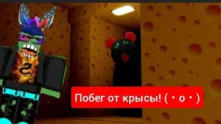 ПОБЕГ ОТ ЖАДНОЙ КРЫСЫ! ПОЛНОЕ ПРОХОЖДЕНИЕ (Roblox)