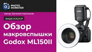 ✅Обзор бюджетной макровспышки Godox ML150II