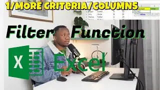 How to Use Excel FILTER Function with Multiple Criteria on the Same column or Multiple Columns