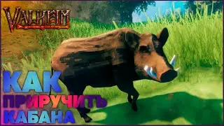 ➤ Как Приручить Кабана ➤ Valheim  ➤ Valheim Гайд ➤ Валхейм