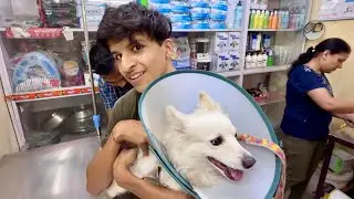 Oreo Ne Kya Kar Diya Aaj  ? 😲