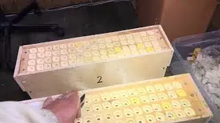 100% прием в стартерах