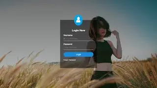 Building Your Own Login Form With HTML and CSS Knowledge With One Video