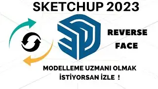 Sketchup 2023 - Reverse Face 11