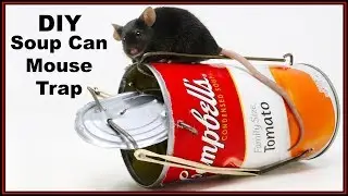 DIY Soup Can Mouse Trap - Double Catch -  Mousetrap Monday