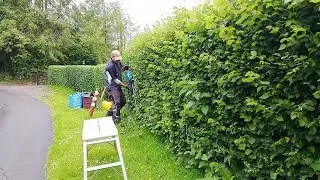 Trimming HEDGES On This Scenic Countryside Property