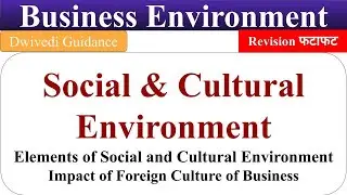 social and cultural environment, elements of social and cultural environment, business environment