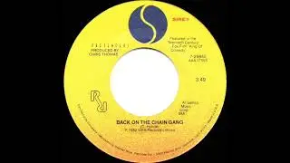 1983 HITS ARCHIVE: Back On The Chain Gang - Pretenders (stereo 45)