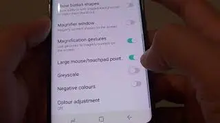 Samsung Galaxy S8: How to Enable / Disable Grayscale Color Screen
