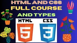 What is CSS And How It Works | Learn HTML Basic