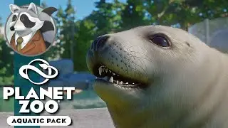 Seal Cove | Grey Seals - Aquatic Pack DLC | Planet Zoo Aquatic Pack DLC