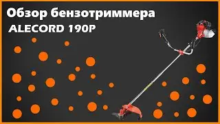Обзор триммера ALECORD - 190P. Плюсы и минусы, тест в работе